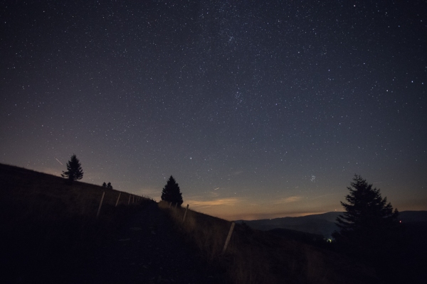 IMG_1711-Bearbeitet
