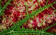 img_2968