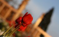 img_2797