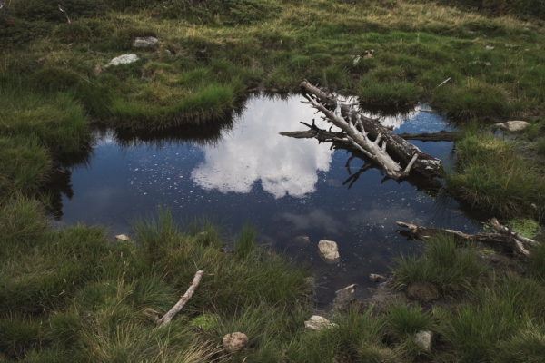 IMG_0797_Luminar2018-edit