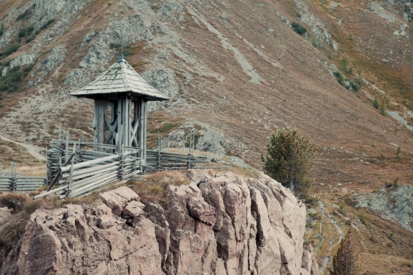 IMG_0830_Luminar2018-edit_0