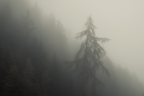 IMG_0916_Luminar2018-edit