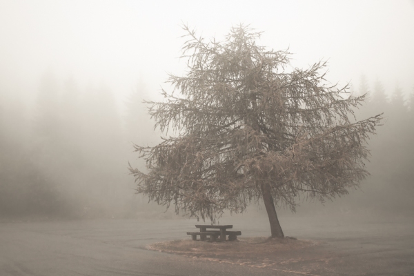 IMG_0965_Luminar2018-edit