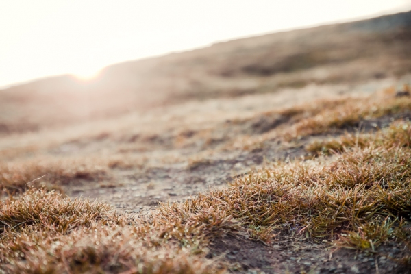 IMG_1515_Luminar2018-edit