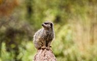 img_0425-bearbeitet