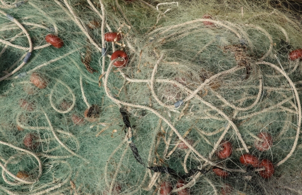 IMG_4088-Bearbeitet - Kopie