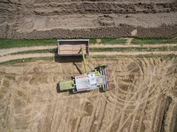 DJI_0021