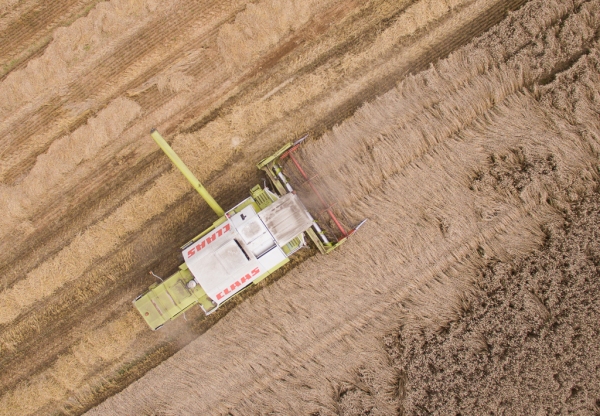 DJI_0046