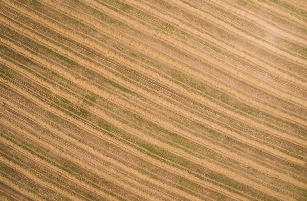DJI_0067