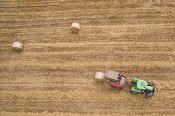 DJI_0094