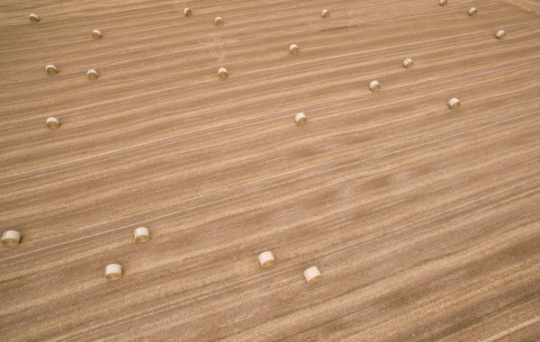 DJI_0921
