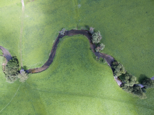 DJI_0978