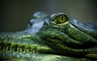 img_9852