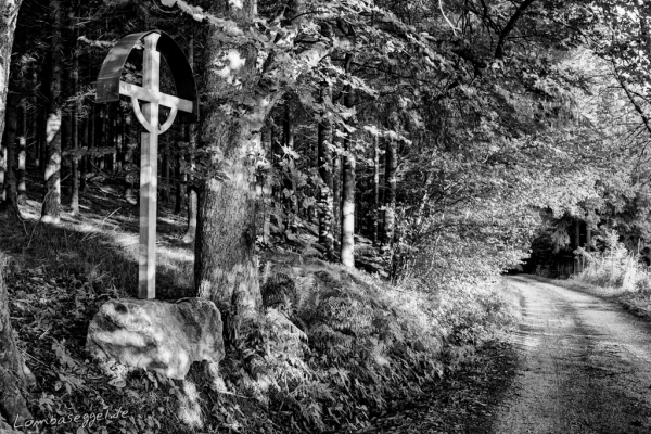 img_2806_7_8-bearbeitet