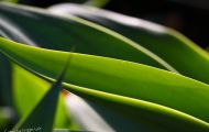 img_5166