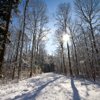 Traumhafter Wintertag