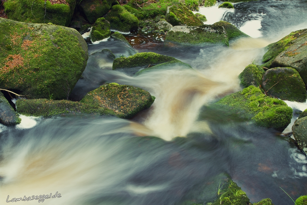 Fotowalk durch den Harz
